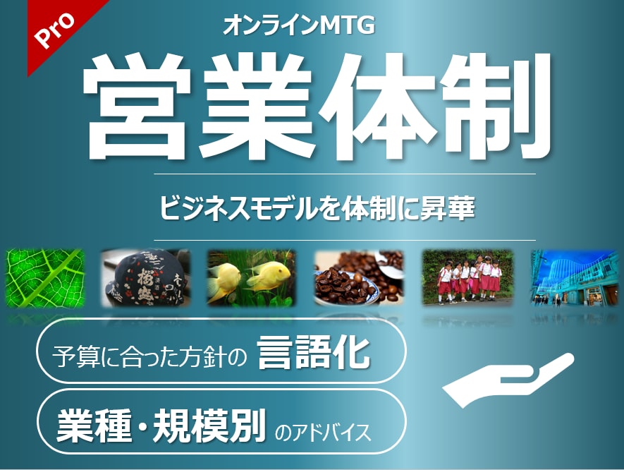 営業体制を再検証・再構築するお手伝いをします 成功例・失敗例をご紹介しながら、強固なマーケティング体制を。 イメージ1