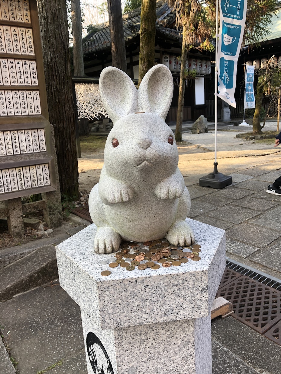 リピーター様用⭐︎おみくじいたします サクッとメッセージが欲しい時にどうぞ イメージ1