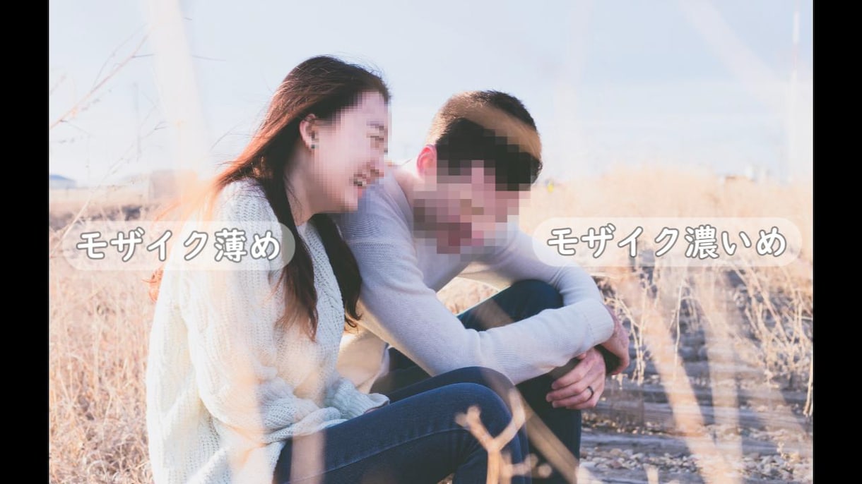 モザイク加工代行いたします 作品実績あり!丁寧な加工をお求めでしたら是非お任せください! イメージ2