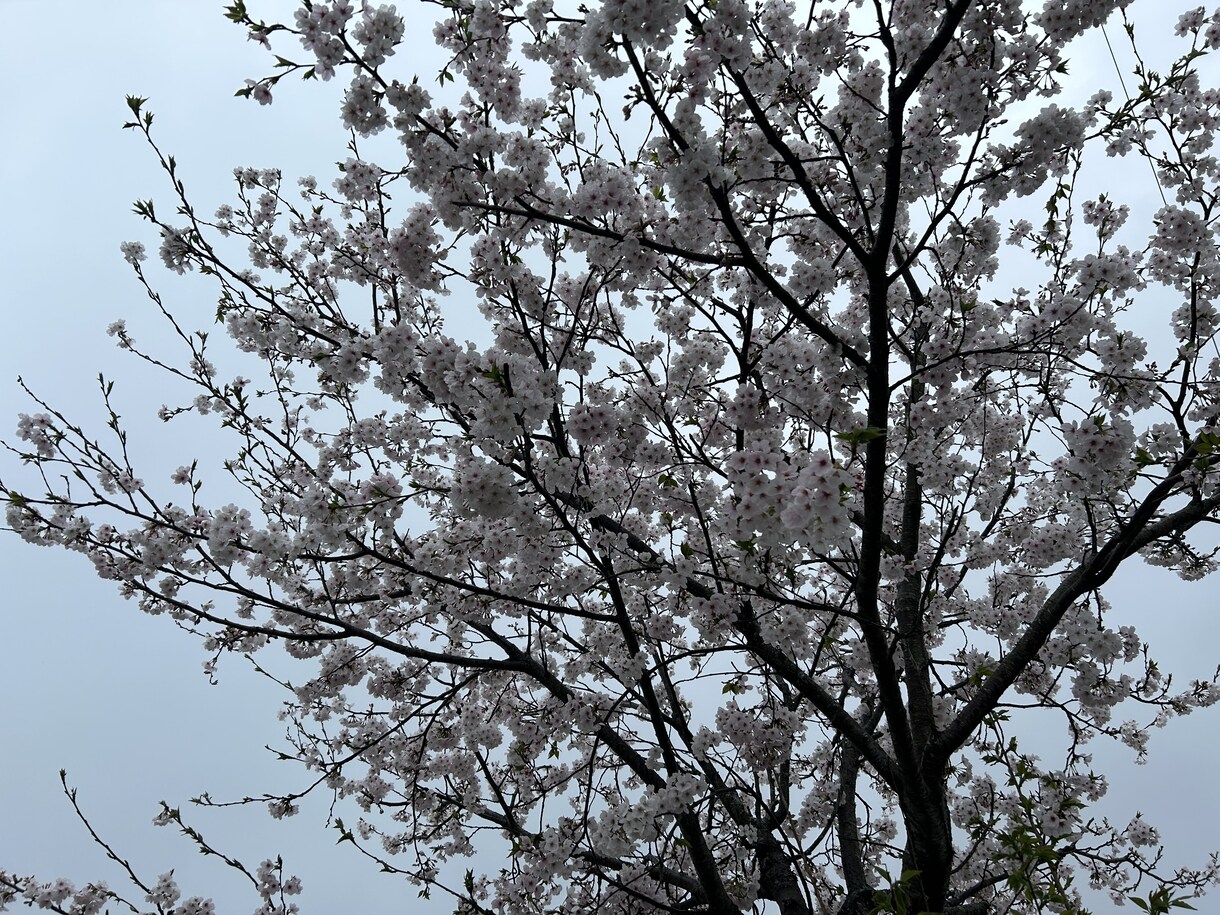 今のあなたに必要なメッセージを届けます 今の気持ちを整える、小さなヒントをお届けします。 イメージ2