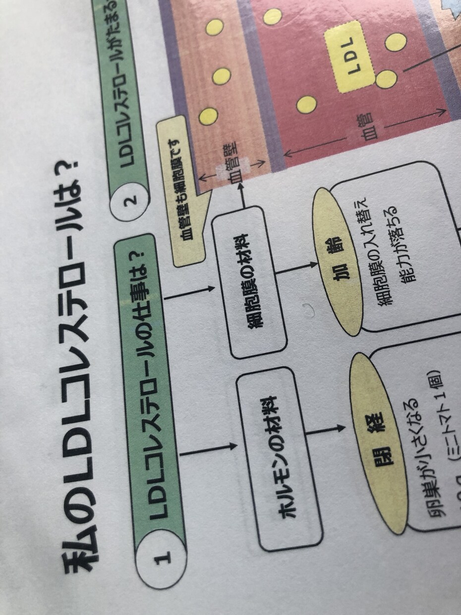 相談のみ。病態別の栄養相談をいたします 生活習慣病の病態に特化した栄養相談 イメージ2