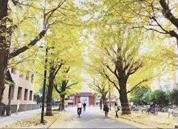 大学受験のアドバイス致します 大学の試験傾向や就職率を元に大学選びのお手伝い致します。 イメージ1