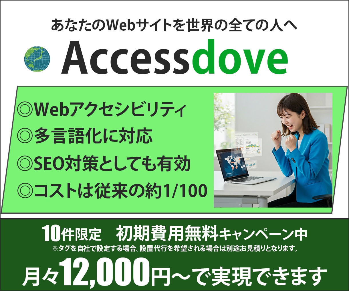 Webアクセシビリティを簡単・低コストで実現します タグを設置するだでけでWebアクセシビリティと多言語化を実現 イメージ1