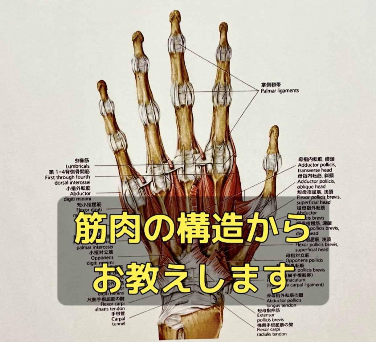 独学でギターができるようになったコツを教えます 習いに行くまではないけどノウハウを知りたい方へ イメージ2