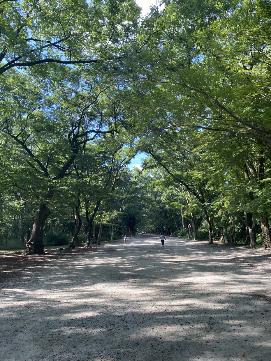 5往復！療育現場で働く者が未就学児の相談のります ウチの子の発達気になる！親と子の関わり方で明るい未来に！ イメージ3