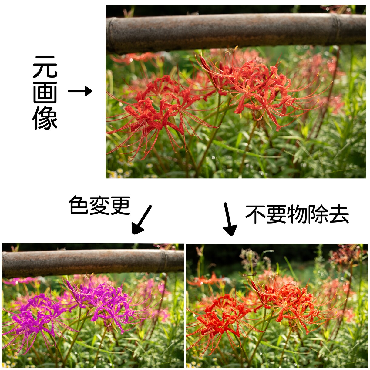Photoshopで画像の編集をします お客様の素敵な写真をさらに綺麗に!! イメージ2