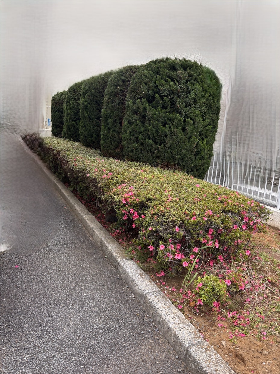庭木・植木の業者選定や見積相談承ります 女性相談員が丁寧にお話を伺います イメージ5