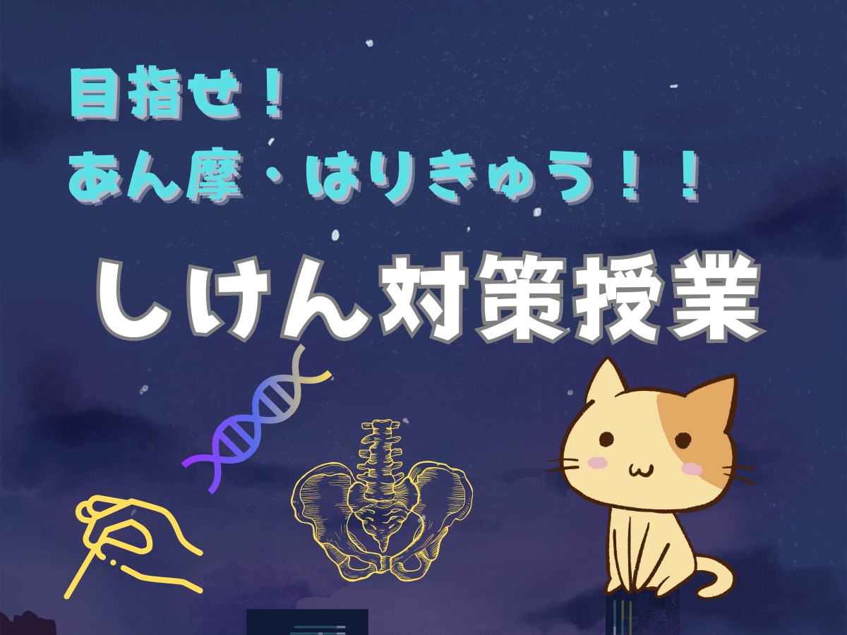 あん摩、鍼灸の国家試験勉強をサポートします 鍼灸学校での教員経験を活かし、専門的な授業を易しく！ イメージ1