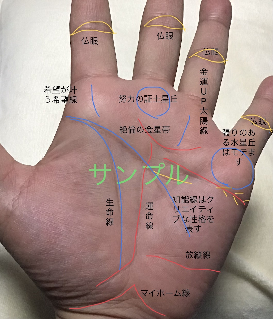 左手専用手相で宿命相を占いますます 先天運生まれ持った不変な宿命ディステニーを占います。 イメージ7