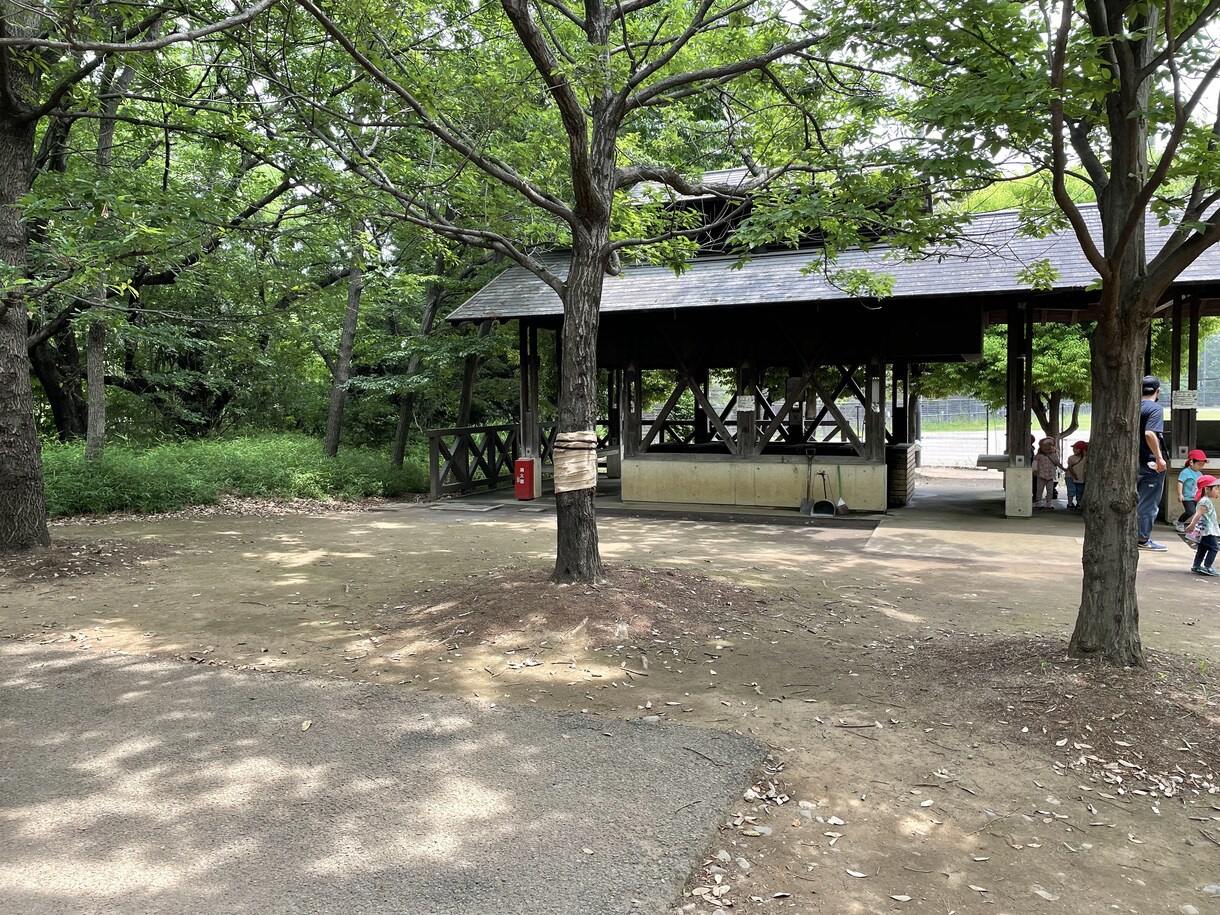リクエスト応じて、東京の日常写真撮ります Daily life of Tokyo イメージ3
