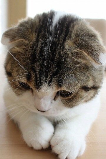 人生いろいろ〜♪ありますよね！！！話聞きます 愚痴★悩み★相談事など、なんでも聞きます！！！ イメージ7