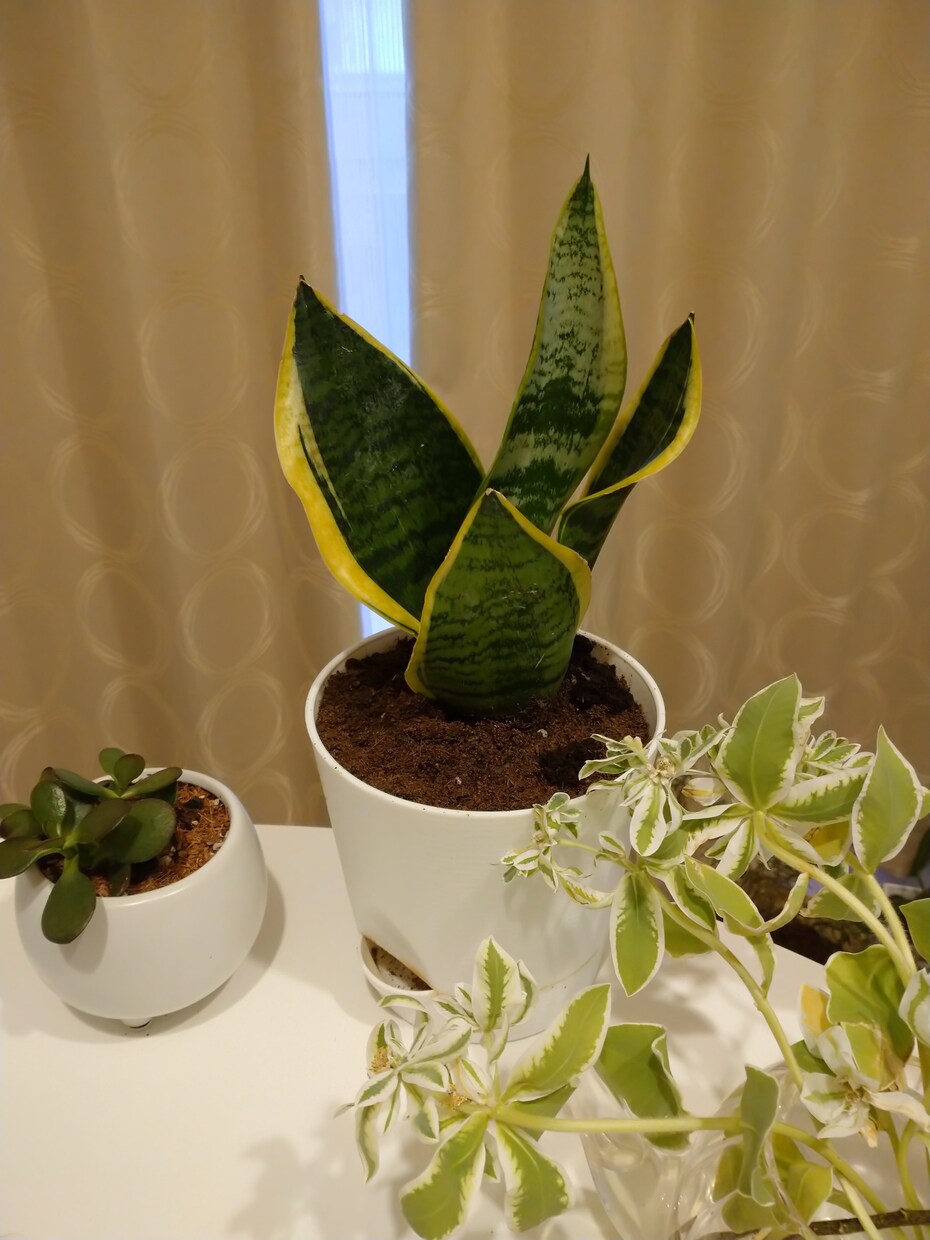お話し聞きます 日々のつらいこと、理不尽な事どうか吐き出して♡自慢話大歓迎♡ イメージ4
