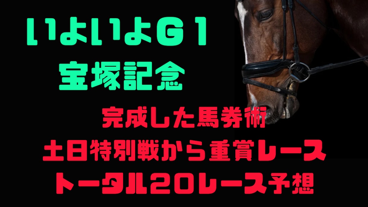 いよいよ宝塚記念！土日の２０レース予想します 土日の特別戦から重賞レース予想！研究し尽くした馬券術！ イメージ1