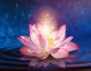 あなたの人生を豊かなものにするヒントをお伝えます 光に満ちた人生を創造するために、今のあなたに重要なこととは？ イメージ10