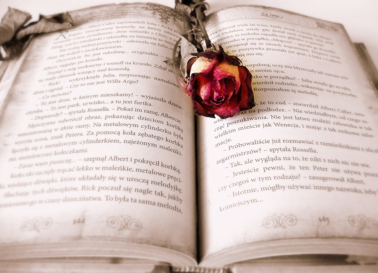 貴方の為の理想の小説書きます 貴方の理想の物語を小説にしませんか？（NL/BL/GL） イメージ1