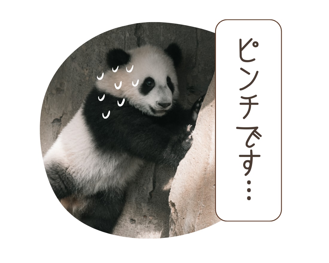 恋愛·不倫·悩み·アナタの気持ちに寄り添います 友達·恋人·妻✿今日はどんなかおりとお話しましょーか? イメージ5