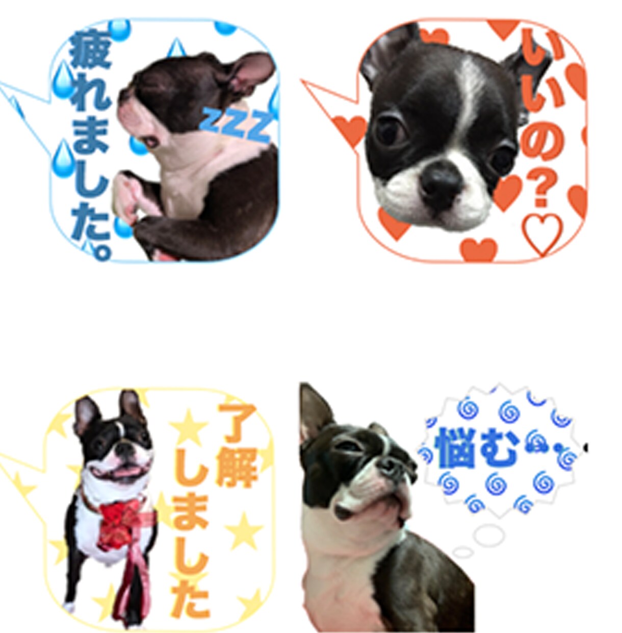 ペットやお子様のLINEスタンプをお作りします 【2000円〜】世界にたった一つのあなただけのスタンプ イメージ4