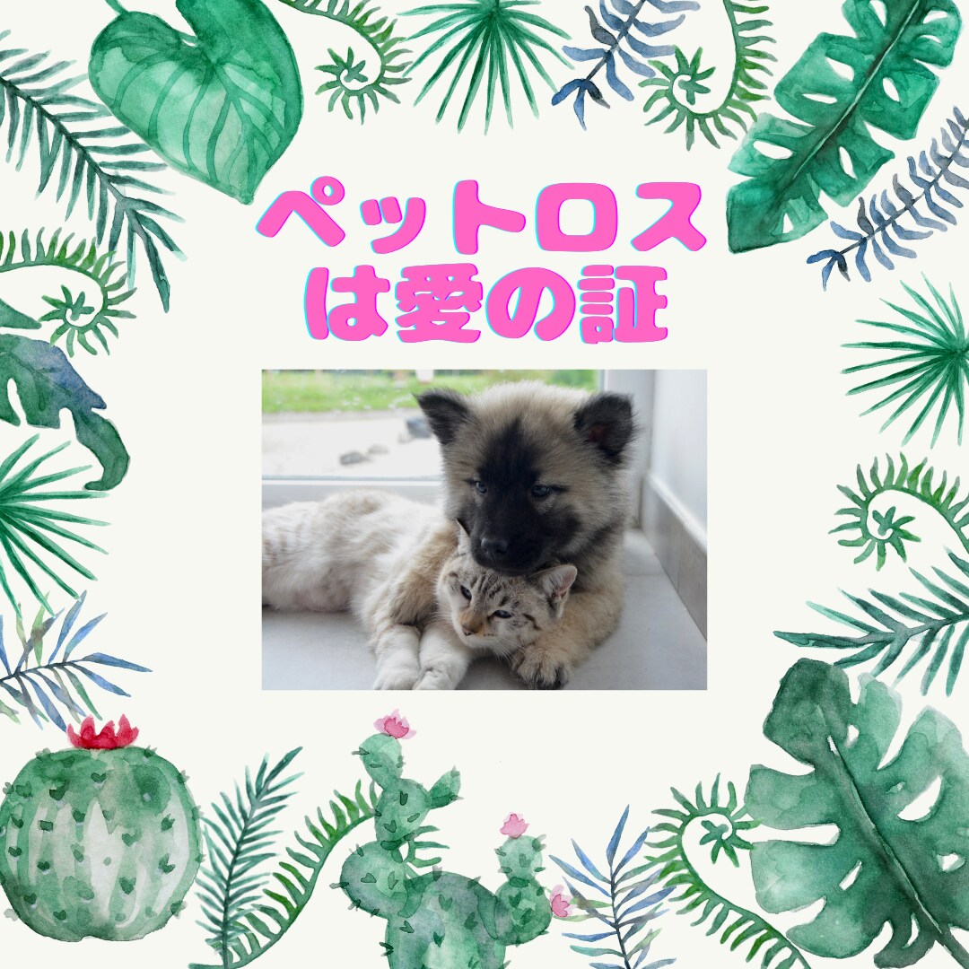 ペットロスの悲しみに寄り添います 喪失の悲しみを出会えた感謝に変えませんか。 イメージ1