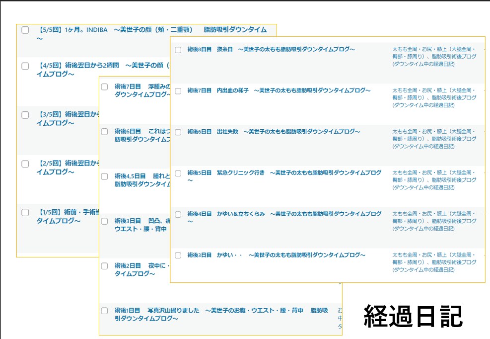 脂肪吸引を受ける前に！貴方のギモンにお答えします 6.6ℓの全身脂肪吸引した経験者によるリアルな話伝えます イメージ5