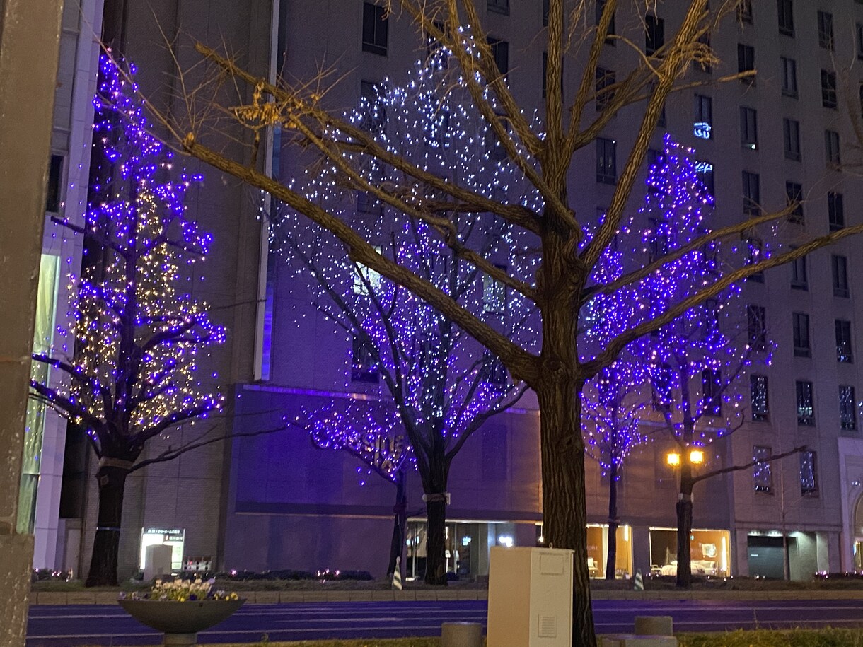 おしゃれな写真を提供いたします iPhone11Proで撮影しており、画質はとても綺麗です イメージ2