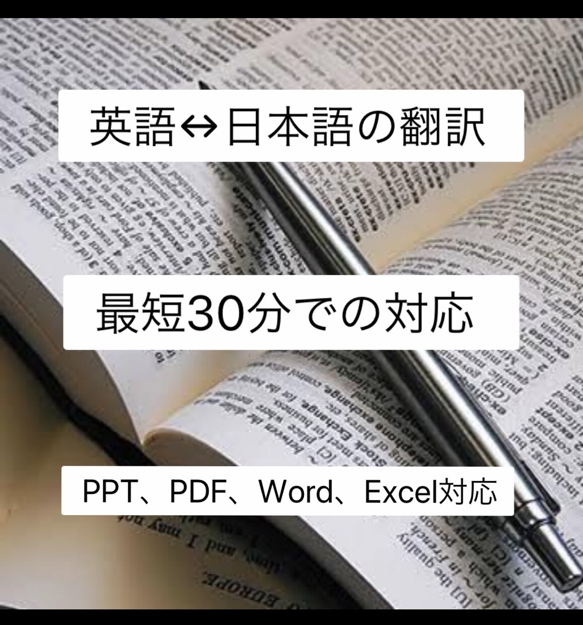 どんな資料でも対応！迅速に英訳•和訳します Power Point、PDF、Word、Excel対応 イメージ1