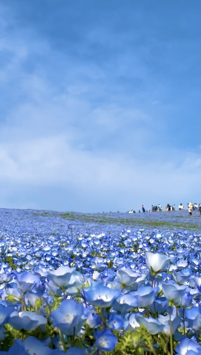 今すぐ話したい！雑談・愚痴・恋愛相談聞きます 老若男女歓迎✨秘密厳守✨何でもお話してください^^ イメージ1