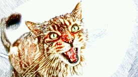 あなたの画像を色鉛筆風にします 可愛く又はかっこよく加工したいあなたへ イメージ3
