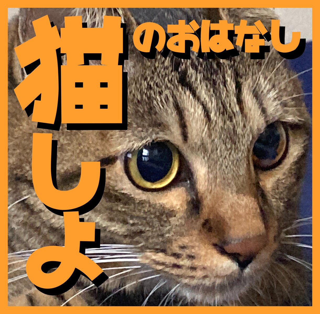猫ちゃんの自慢話やお悩みをお聞きします 猫の話をただ聞いてほしい！そんな願いを叶えます！ イメージ1