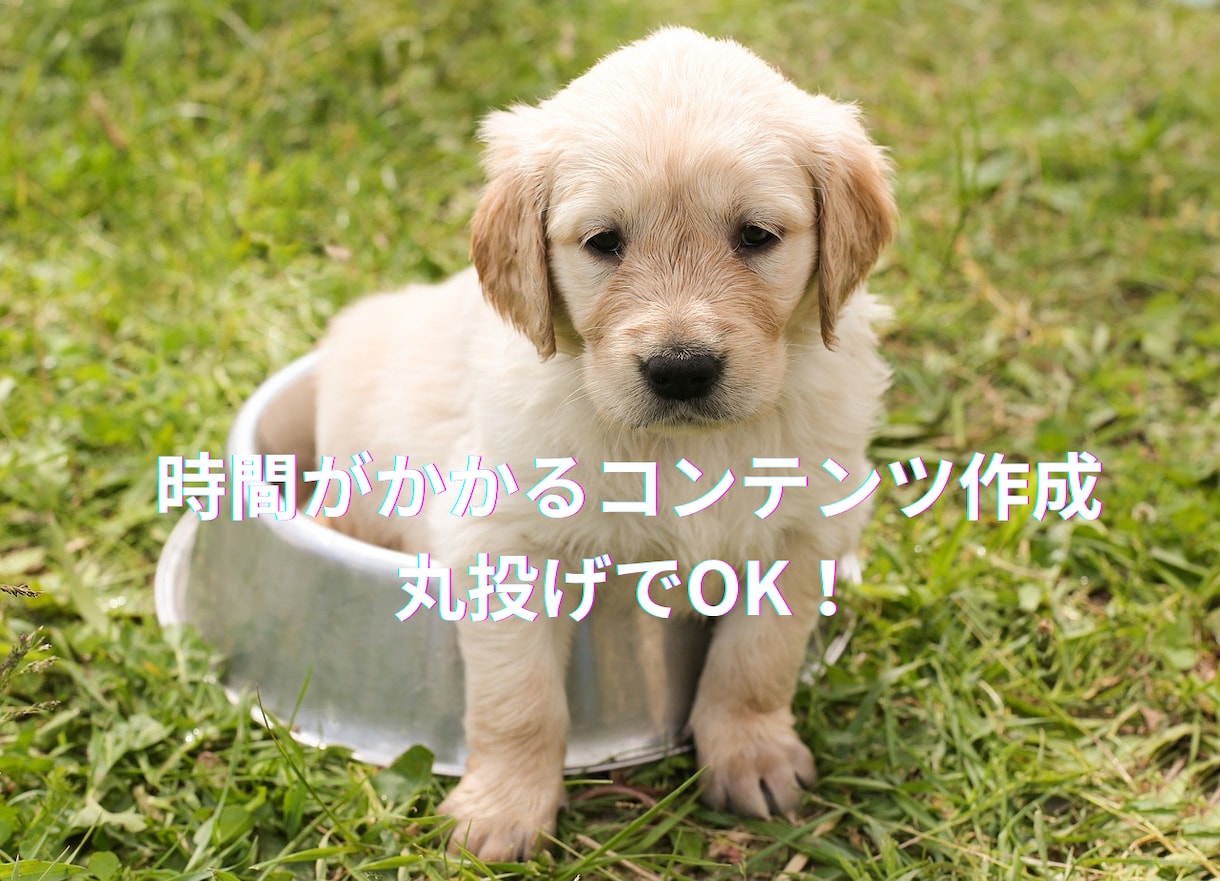 ゼロイチ突破コンテンツ作成代行します 時間がかかるコンテンツ代わりに作ります！あなたは販売のみ！ イメージ3