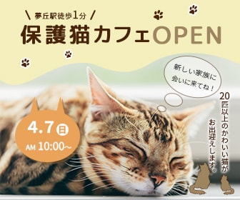 あなたの想いをカタチにデザイン制作します あたなの想いに寄り添い、世界にひとつのデザインを。 イメージ5