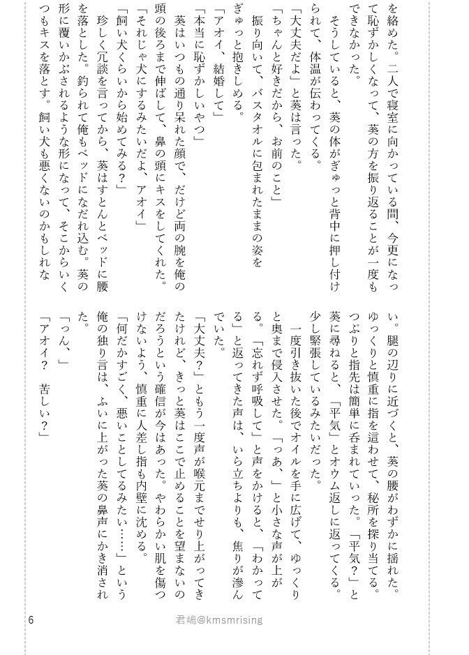 夢小説・CP小説(男女・BL・百合)書きます 文字単価2.2円！参照すべき原典の取材も承ります。 イメージ7