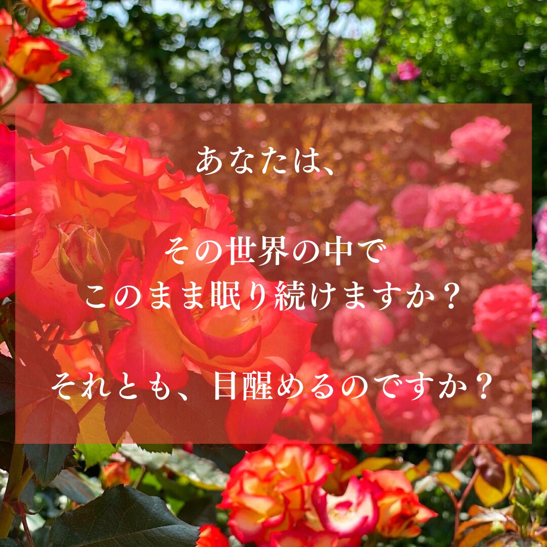 ７日間で激変‼︎ヒプノで自己肯定感爆上げします 本気で変わりたい人限定＊ネガティブ浄化！ヒプノでブロック解除 イメージ6