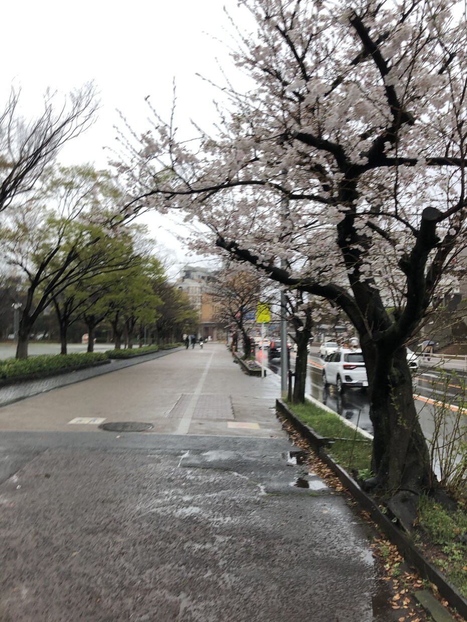 泣いて良いです。心の立ち直り手伝います 悲しく悲しくて、悔しくて悔しくて イメージ2
