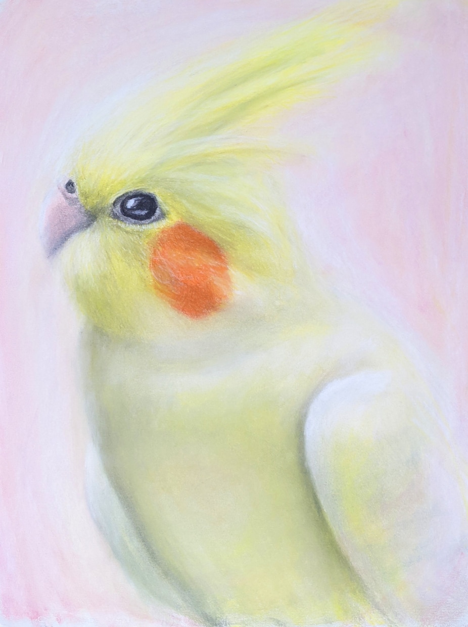 単発お気軽な絵画教室！絵のお悩みにアドバイスします 初心者のかた大歓迎！プロの画家が上達のヒントをお伝えします！ イメージ7