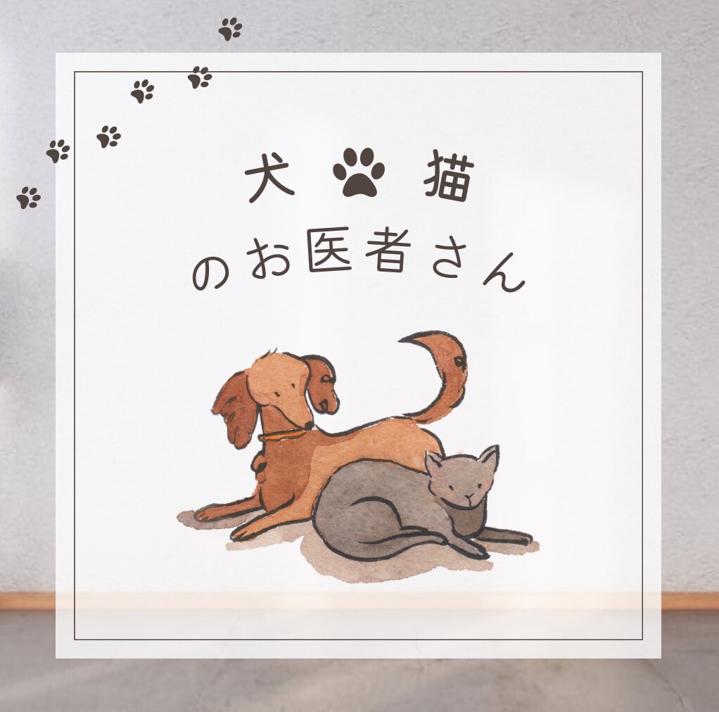 ワンちゃんネコちゃんの血液検査の結果、解説します 血液検査結果をもとに、現役獣医師が詳しく解説します イメージ1
