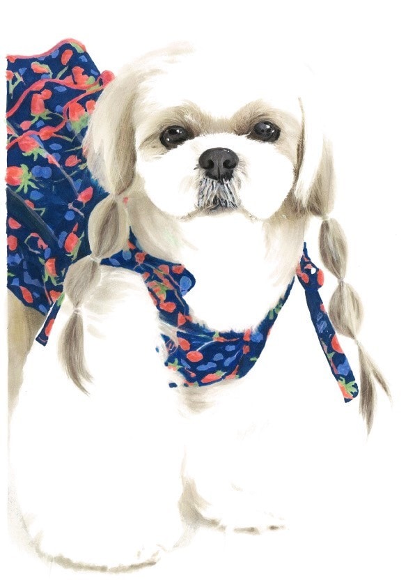 愛犬の似顔絵描きます 愛犬の写真から肖像画のようなクオリティ イメージ6