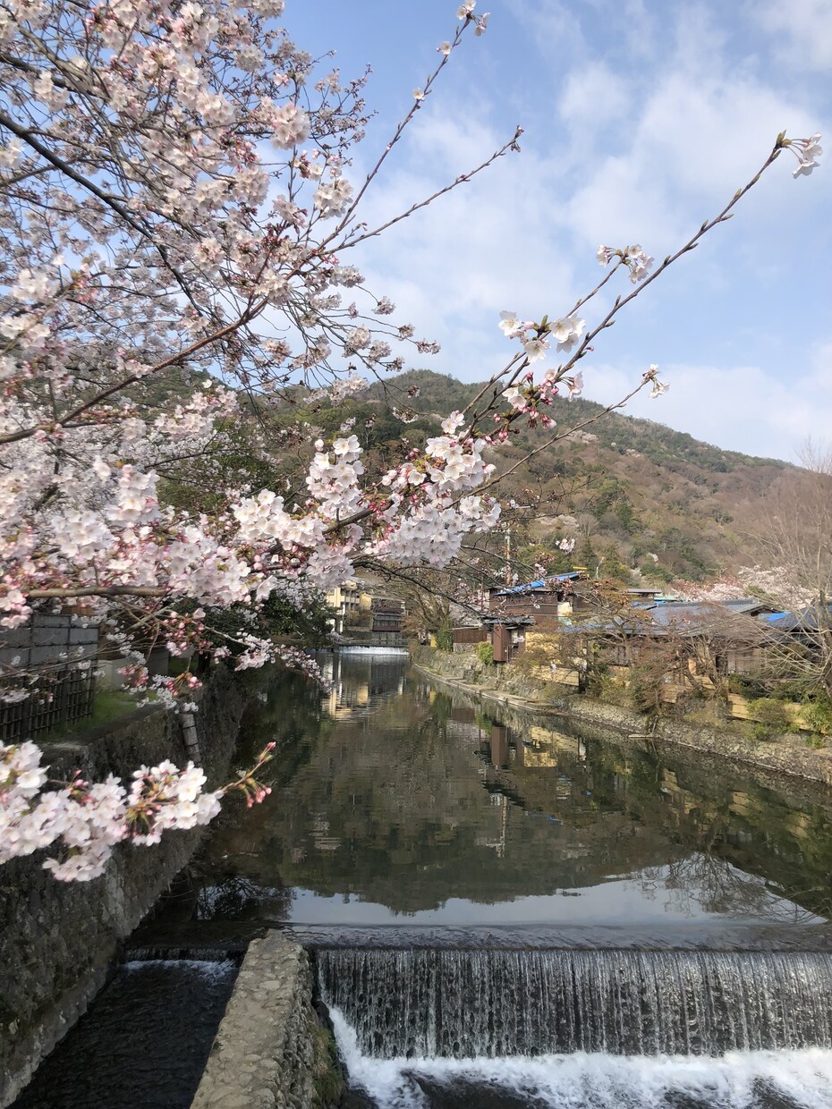 あなたの京都観光をとびっきり楽しい時間にします 学生によるゆったりまったり京都観光案内 イメージ2
