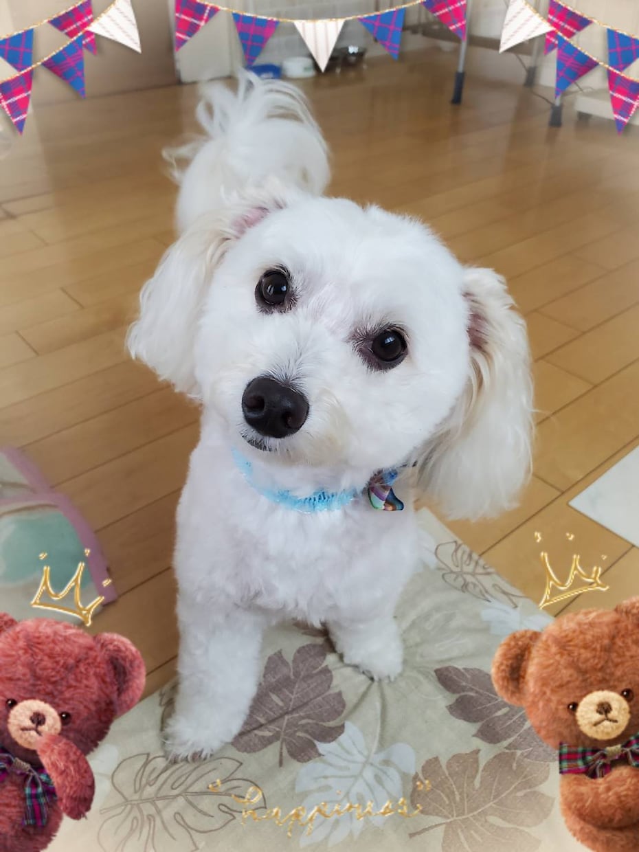 秘密厳守でお話し聞きます 寄添ってお話し聞きますスッキリ笑顔になりましょ☆ イメージ4