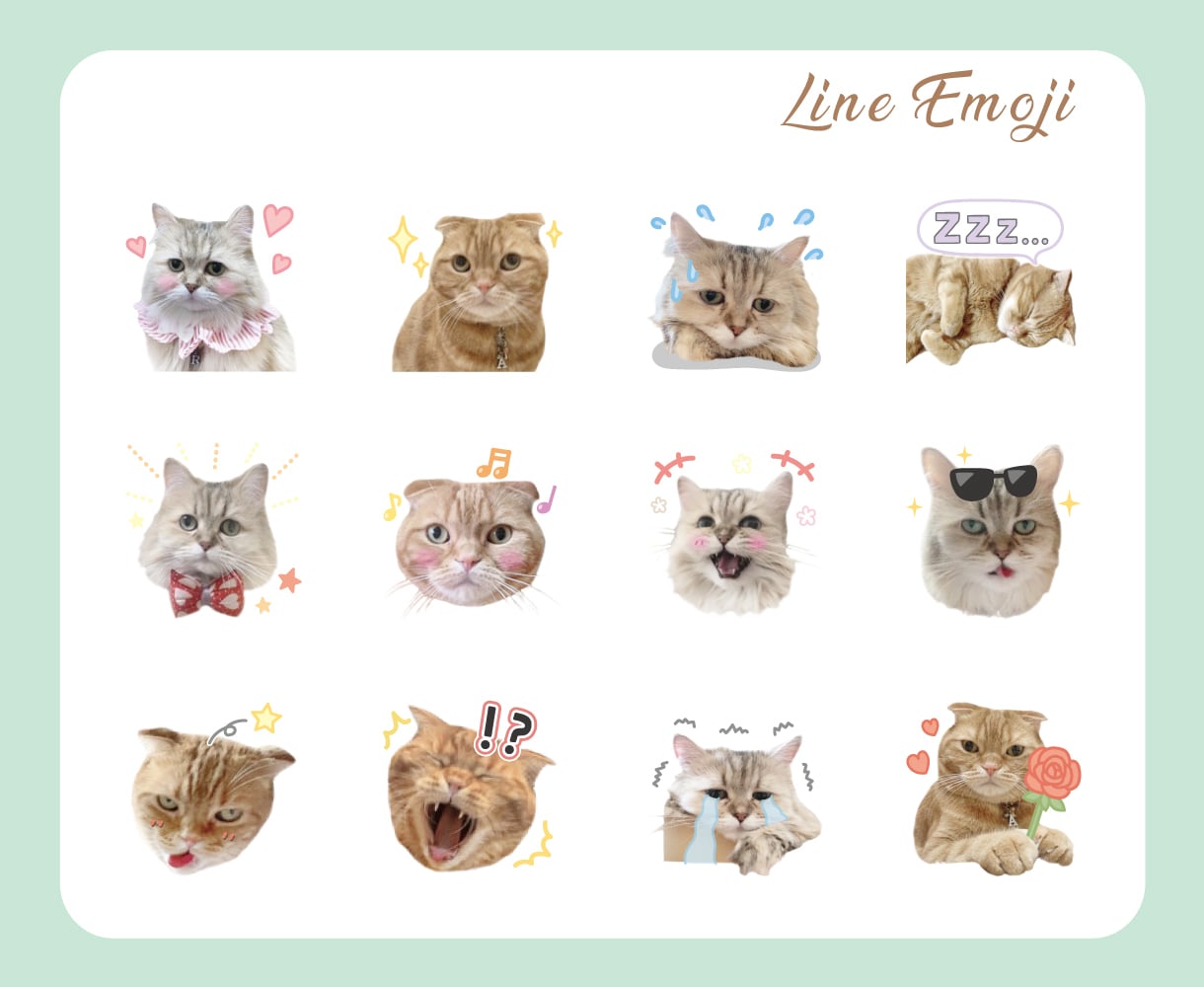 写真を使ったLINE絵文字【40個】で作ります 大切なペットのお写真を可愛くアレンジして絵文字にします！ イメージ3