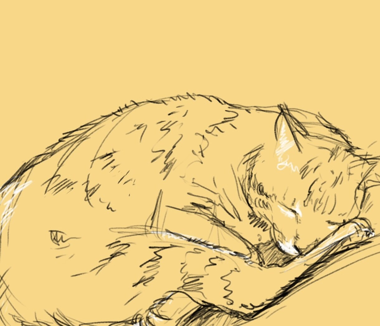ペットのデータ画像をタブレット端末で手描きします ラフな鉛筆画風のスケッチに仕上げます。 イメージ4