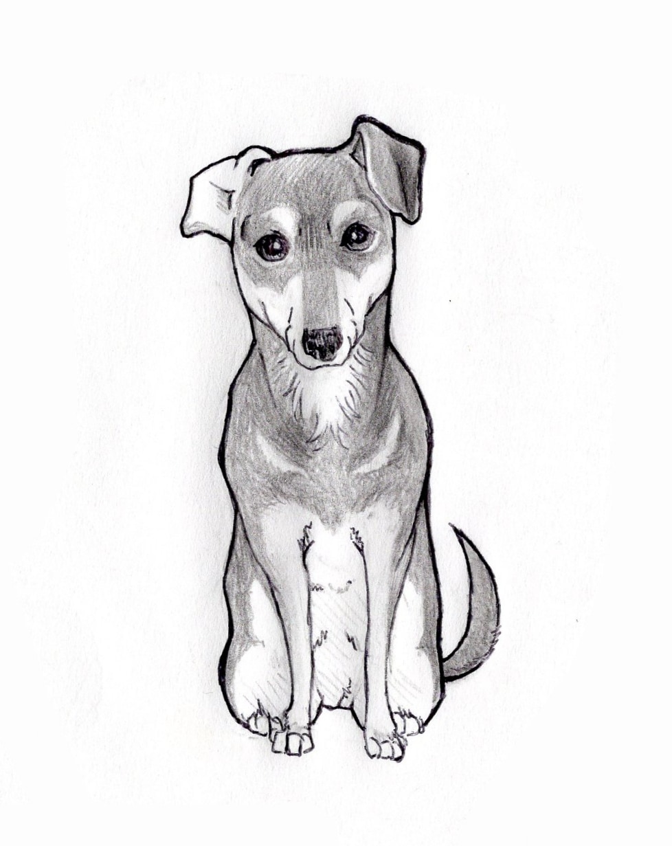 どんな動物のペットのスケッチを描きます 犬・猫から小動物・爬虫類まで！ イメージ4