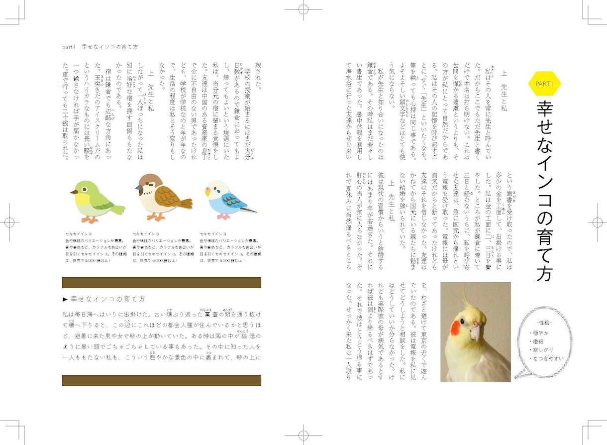 同人誌・パンフレット等、DTP制作いたします デザイン性の強い紙面を作ります！ イメージ2