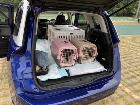 ペットタクシーの届出代行します 【貨物軽自動車運送事業届出を代行】 イメージ3