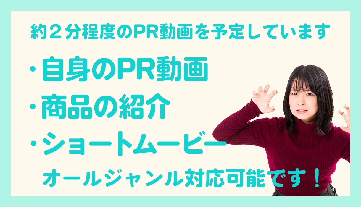 PR動画作成します あなたを最大限にアピールできる自己紹介動画を提供します！ イメージ2