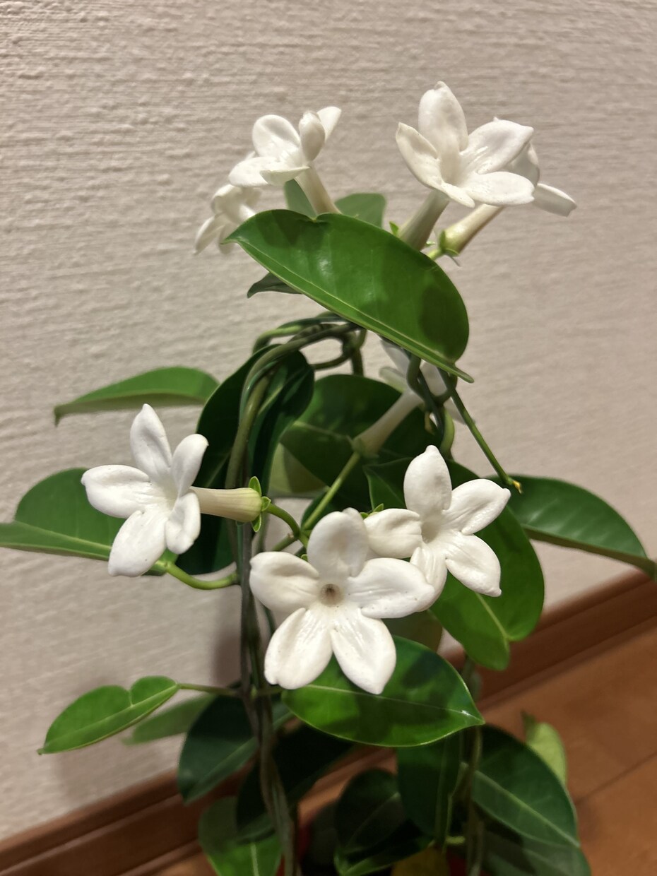 心の中のどんな気持ちでも、チャットでサポートします あなたの思い言葉にしてください。5日間お話伺います。 イメージ6