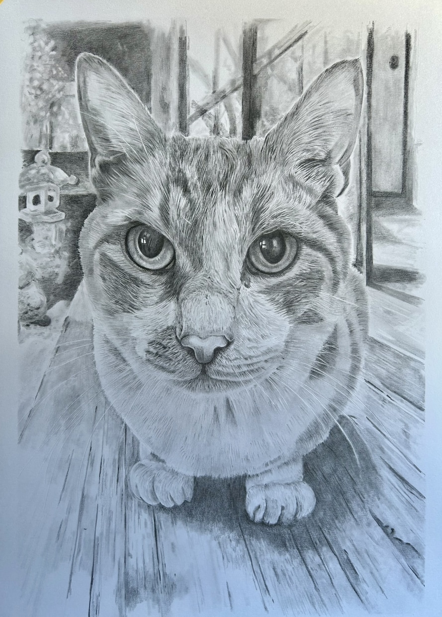 鉛筆画でペットのリアル似顔絵を手描きで作成致します 犬・猫を鉛筆で細部まで丁寧に描きます！ イメージ2