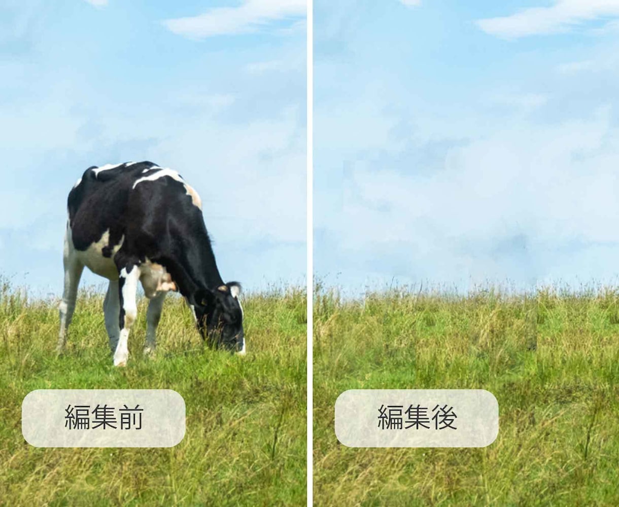 Photoshop画像編集承ります ★ご購入前にサンプル制作いたします★細部まで丁寧に仕上げます イメージ5
