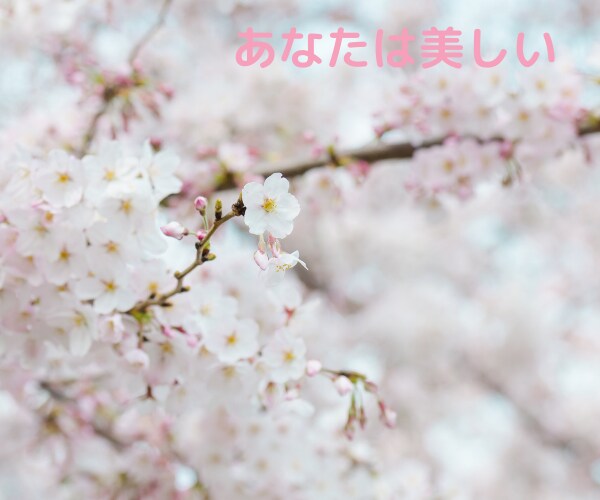 今辛い！今聞いて！今！うつ病経験者が優しく聴きます 私なんて消えちゃえばいいのに。その気持ち分かります。辛いよね イメージ6