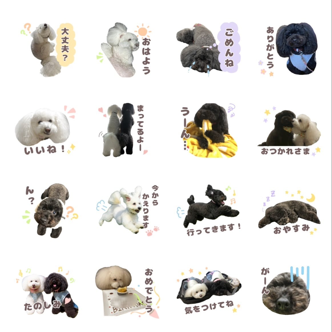 ペットのお写真でLINEスタンプ作ります お渡し後ご自身で加工・販売もOK♡オプションで申請もサポート イメージ3