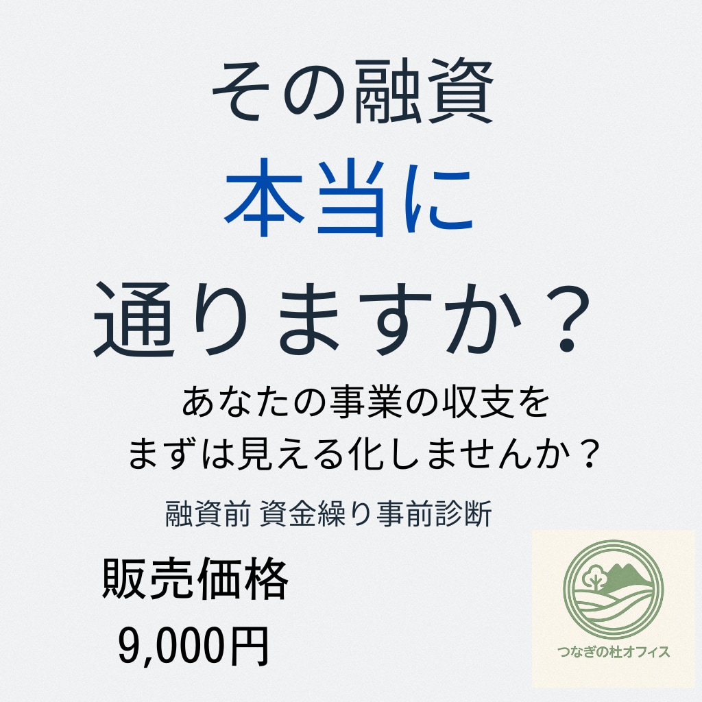 不安な収支の流れをクリアに！資金繰りを可視化します 融資前の資金設計ライト！通らない融資を避けるための事前診断 イメージ1